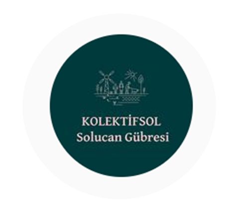 Kolektifsol