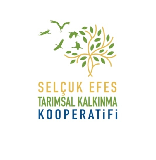 Selçuk Efes Kooperatifi